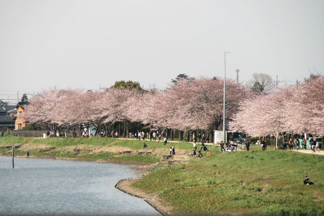 e0064133_0403296.jpg