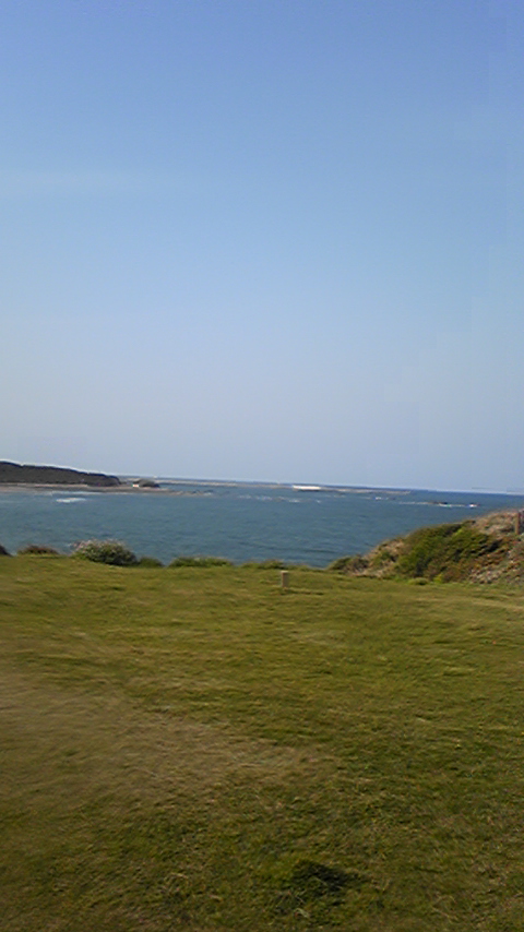 a0152736_042895.jpg