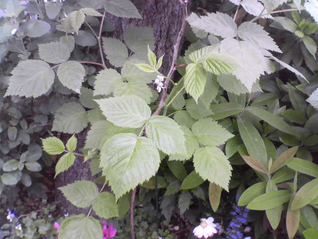 f0237037_15405491.jpg