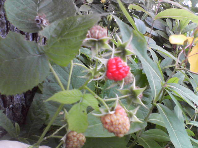 f0237037_15504113.jpg