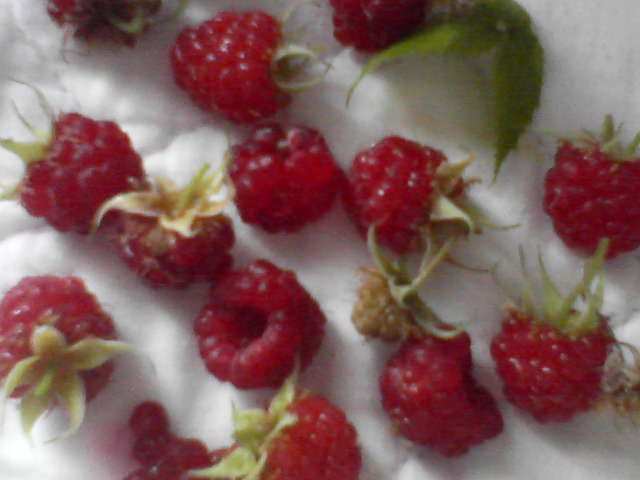 f0237037_1551534.jpg