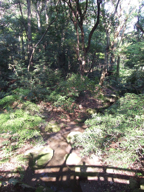 f0219141_17111882.jpg