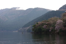 a0142343_528461.jpg