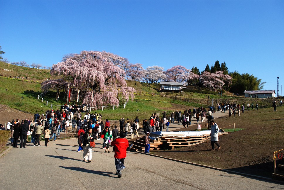 e0009147_9502199.jpg