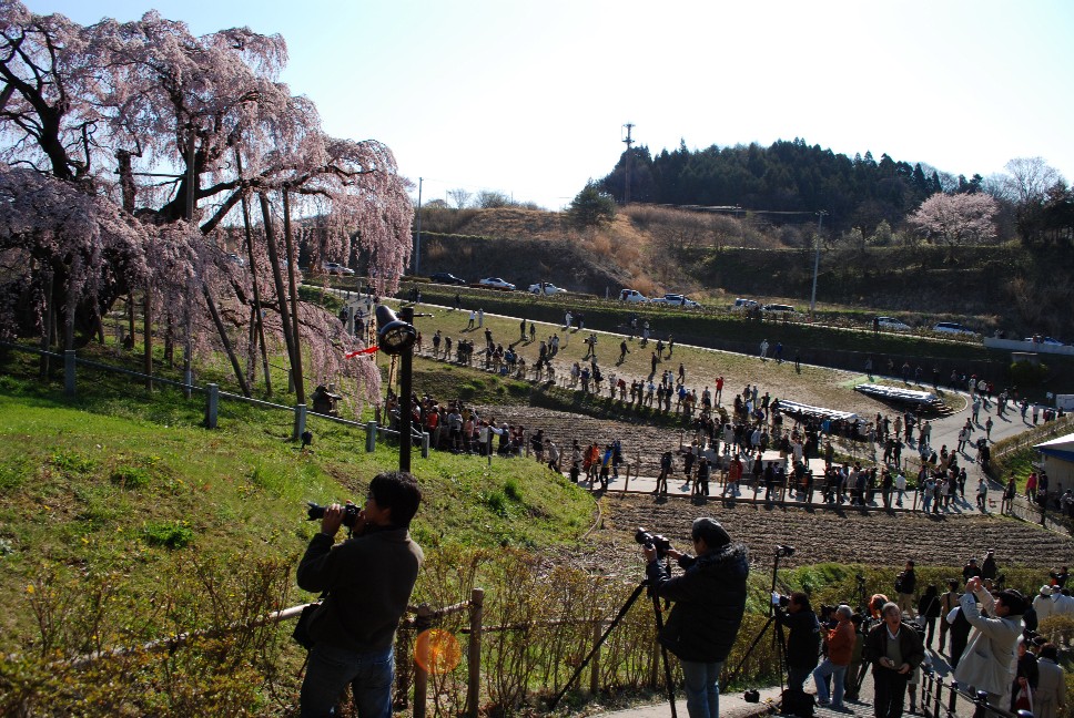 e0009147_953783.jpg