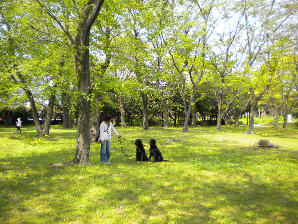 f0235048_10111871.jpg