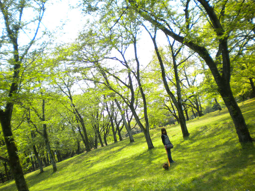 f0235048_10312569.jpg