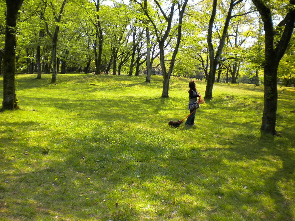 f0235048_19203483.jpg