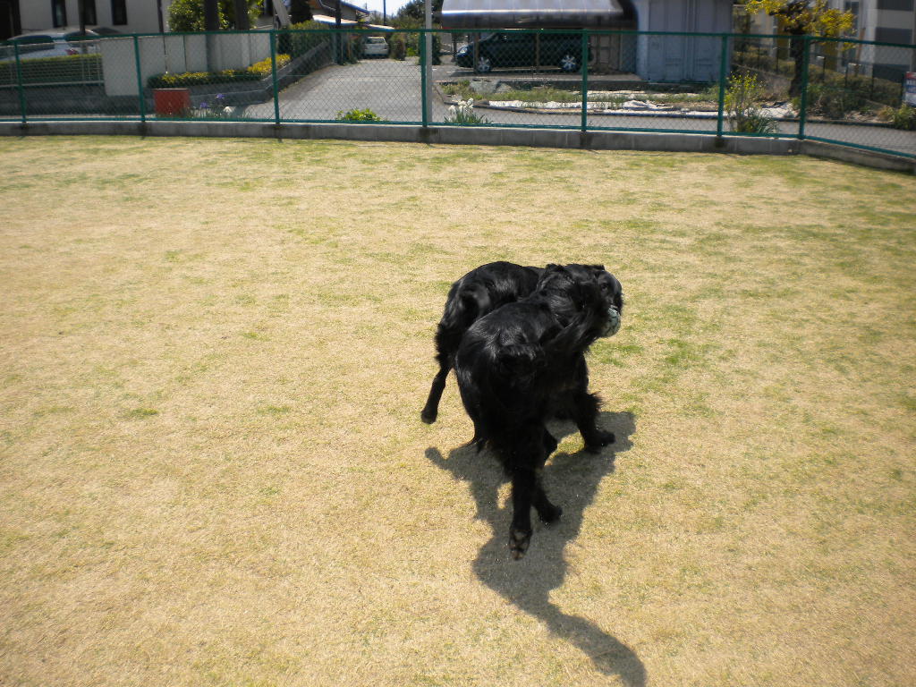 f0235048_9241364.jpg