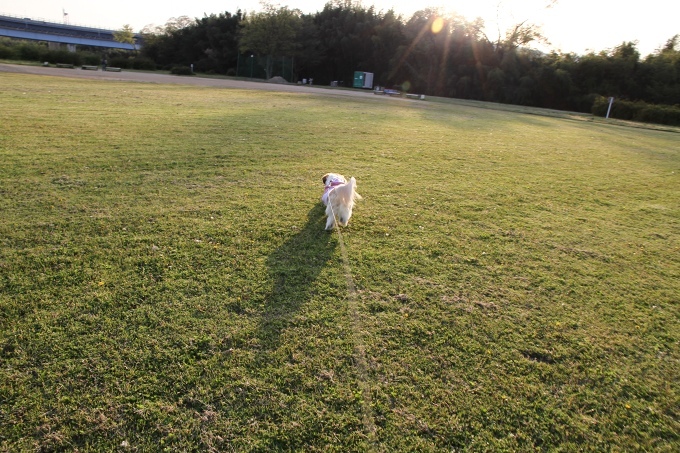 c0043751_1492628.jpg