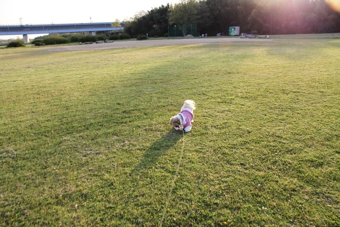 c0043751_1494493.jpg