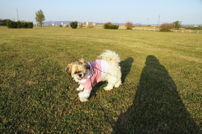 c0043751_1564080.jpg