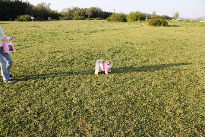 c0043751_20462.jpg