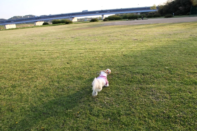 c0043751_244762.jpg
