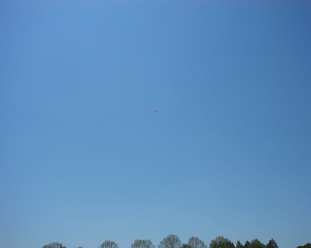 c0225153_1201956.gif