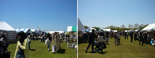 c0225153_1223415.gif