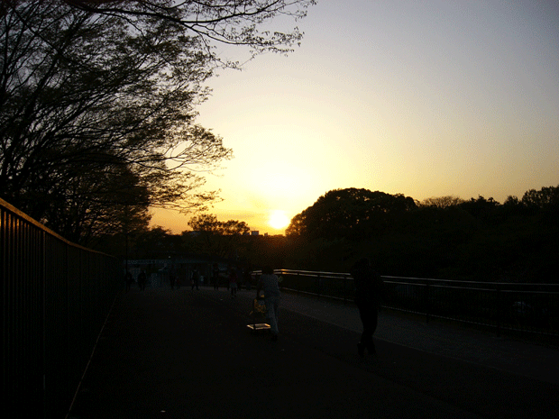 c0225153_1251483.gif