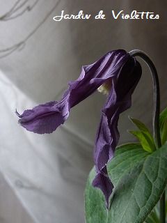 e0118257_17141545.jpg