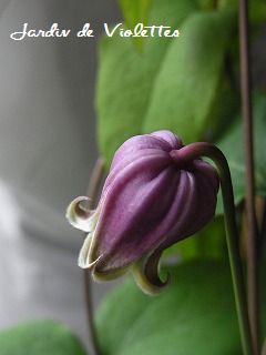 e0118257_17164047.jpg