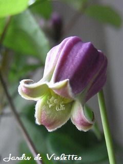 e0118257_17172241.jpg