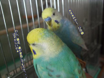 f0149057_23521819.jpg