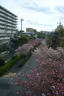 e0129958_13481713.jpg