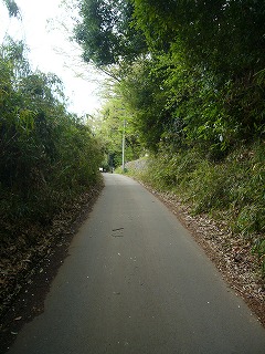 e0129958_1349371.jpg