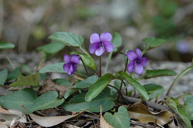 b0104861_2255125.jpg