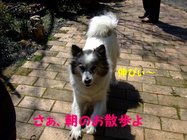 a0104162_6185316.jpg