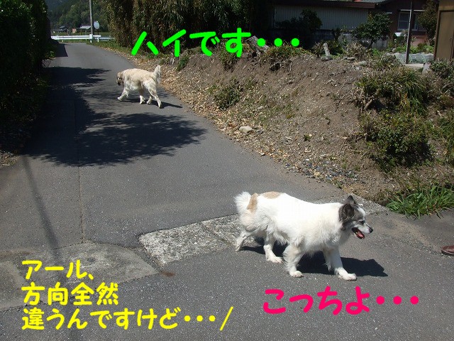 a0104162_619526.jpg