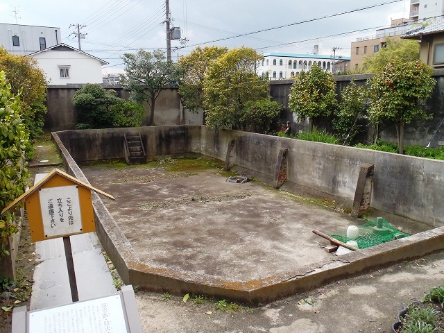 b0044663_16192891.jpg