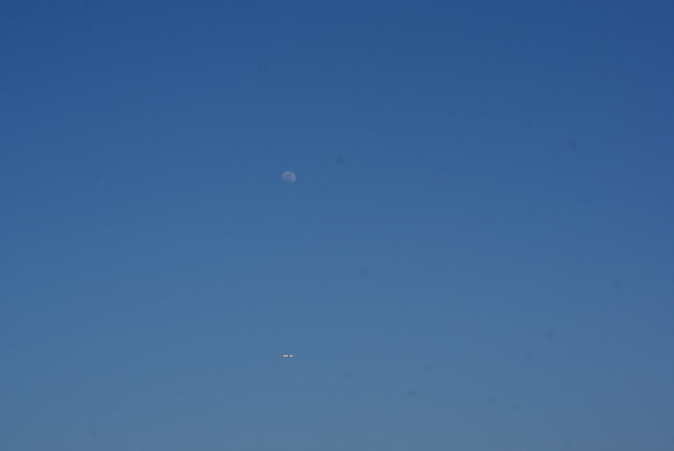 d0153864_0261241.jpg