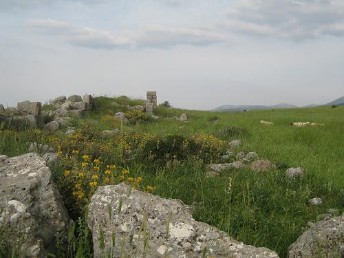 f0037264_5591645.jpg
