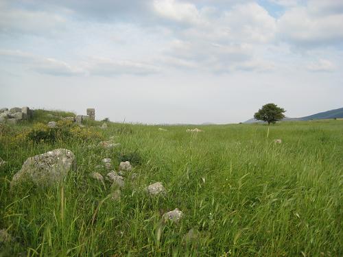 f0037264_60950.jpg