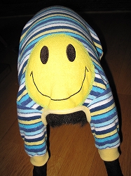 e0002466_19541269.jpg