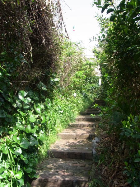 e0153367_16293969.jpg