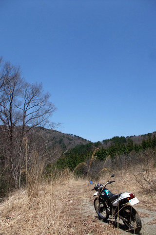 e0045768_2151190.jpg