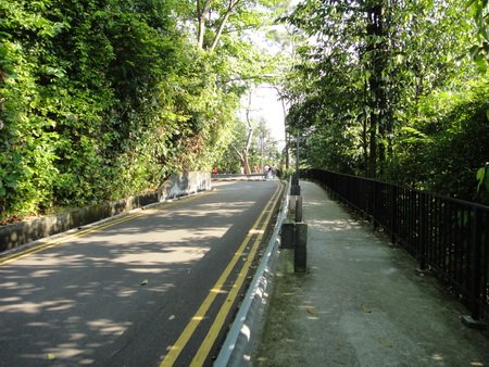 a0002177_11104889.jpg