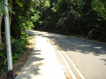 a0002177_13285948.jpg