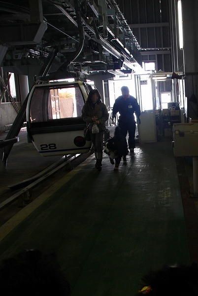 c0149178_1634612.jpg