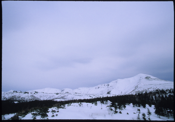 a0053783_0262335.jpg