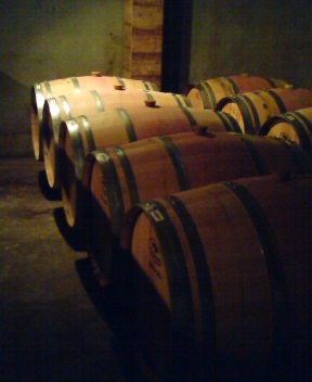 c0113585_822522.jpg