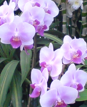 c0113585_953397.jpg