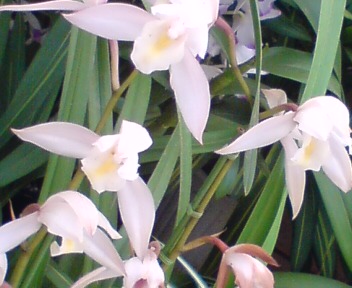 c0113585_974437.jpg