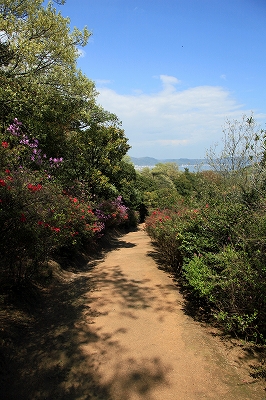 e0190885_19303247.jpg