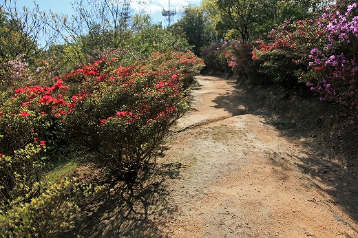e0190885_19305784.jpg