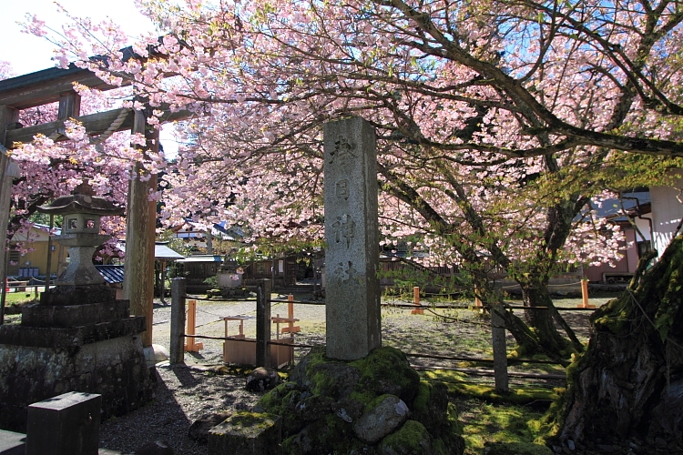 e0051888_22464940.jpg