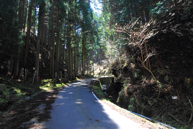 e0051888_22502699.jpg