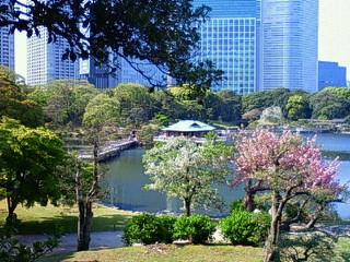f0018790_22403860.jpg