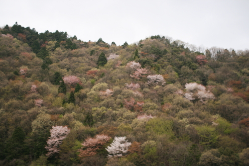 f0093592_20402276.jpg